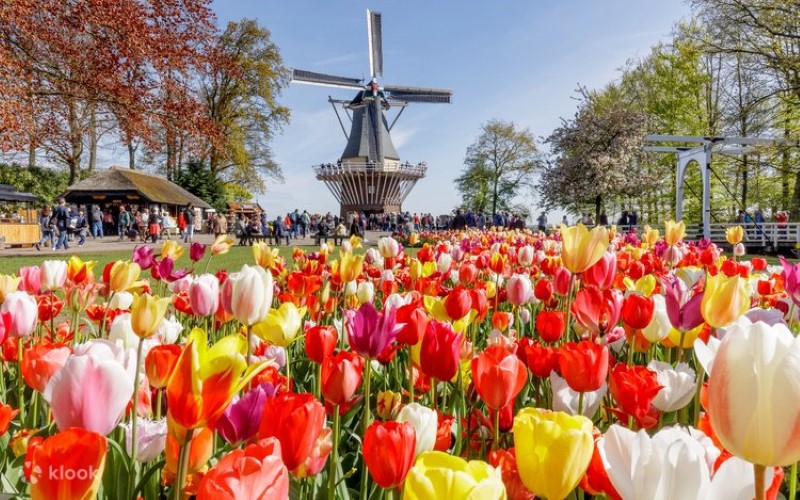 DU LỊCH 5 NƯỚC TÂY ÂU: LỄ HỘI HOA KEUKENHOF 2026 - ĐỨC – HÀ LAN – BỈ - LUXEMBOURG - PHÁP
