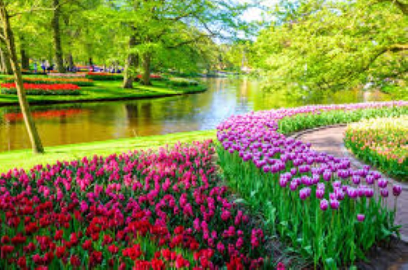 DU LỊCH CHÂU ÂU 6 NƯỚC & LỄ HỘI HOA KEUKENHOF 2026 ĐỨC – THỤY SĨ – LUXEMBOURG – HÀ LAN – BỈ - PHÁP